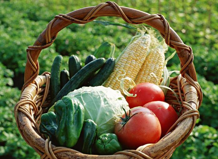 1647223895310756.jpg fdbb8f17c7b2427f9a0810f0fd50366c_th.jpg