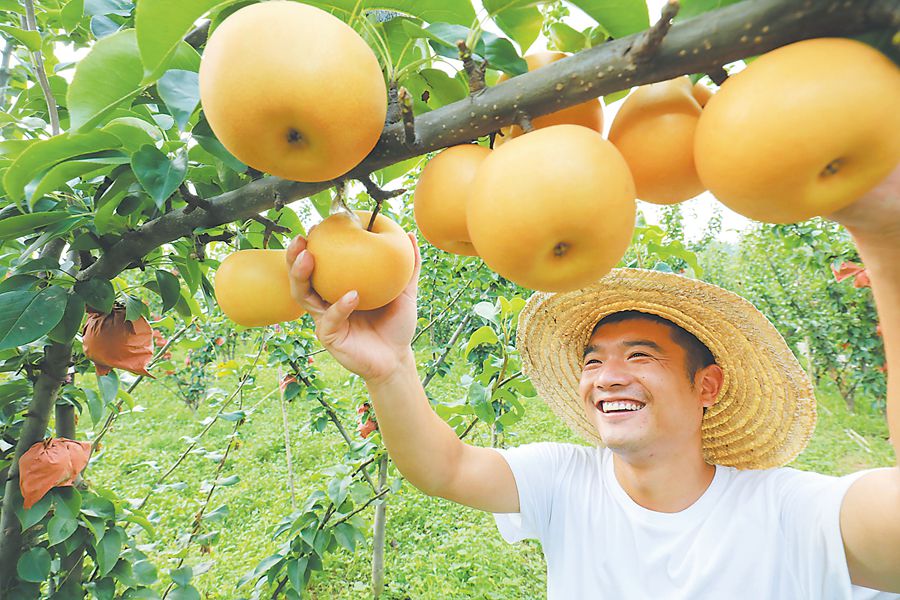 1647226779856300.jpg fdbb8f17c7b2427f9a0810f0fd50366c_th.jpg