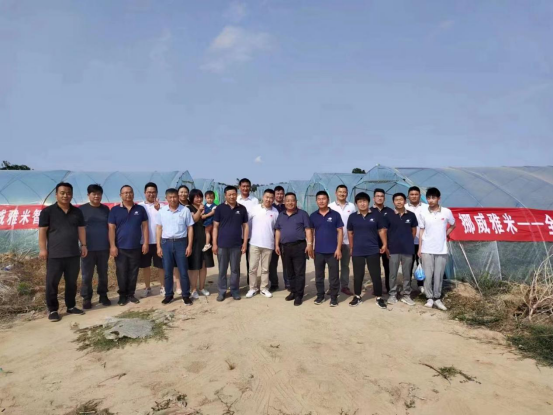 1655433019136902.png 1655433019136902.png