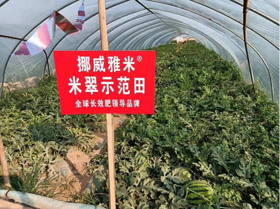 1655433042169626.png 1655433042169626.png