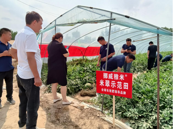 1655433053438606.png 1655433053438606.png