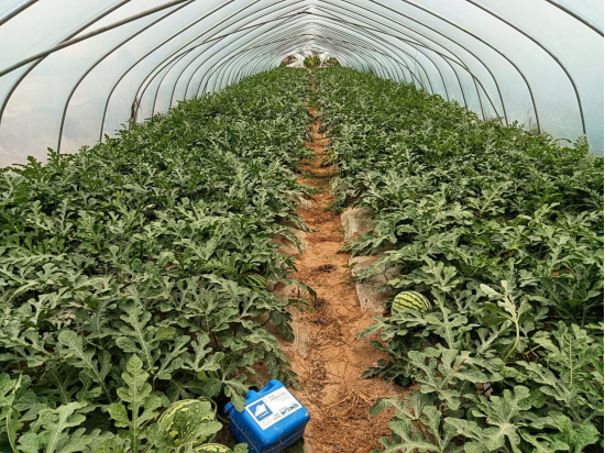 1655433059735831.png 1655433059735831.png